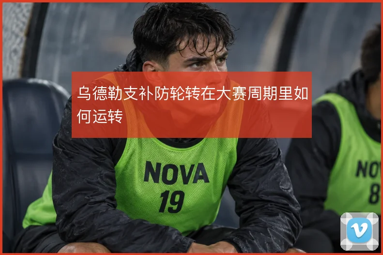 乌德勒支补防轮转在大赛周期里如何运转
