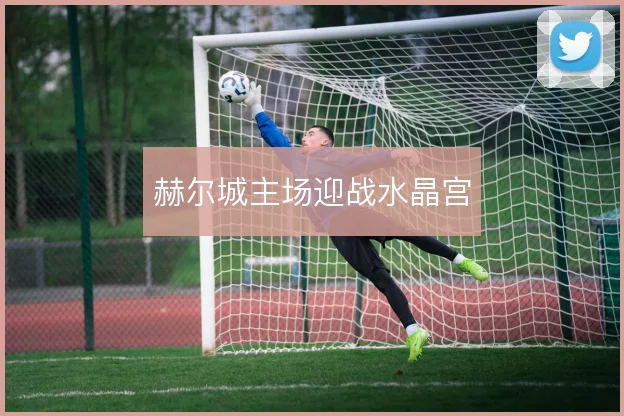 赫尔城主场迎战水晶宫