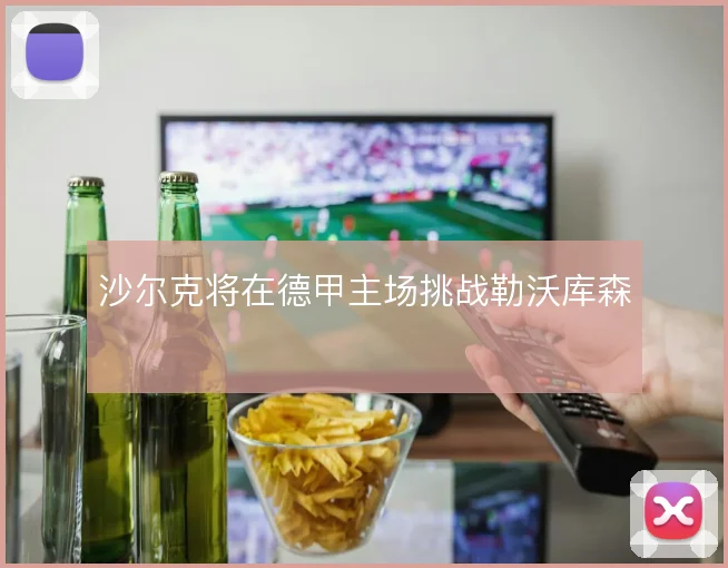 沙尔克将在德甲主场挑战勒沃库森