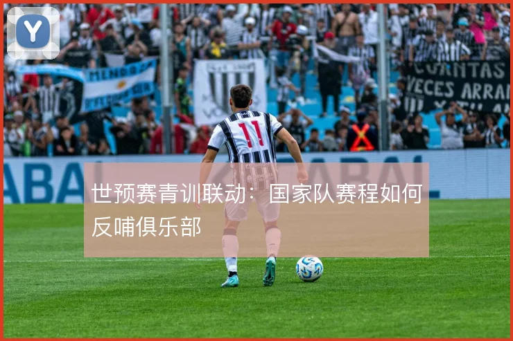 世预赛青训联动:国家队赛程如何反哺俱乐部