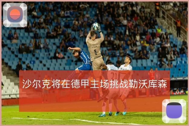 沙尔克将在德甲主场挑战勒沃库森