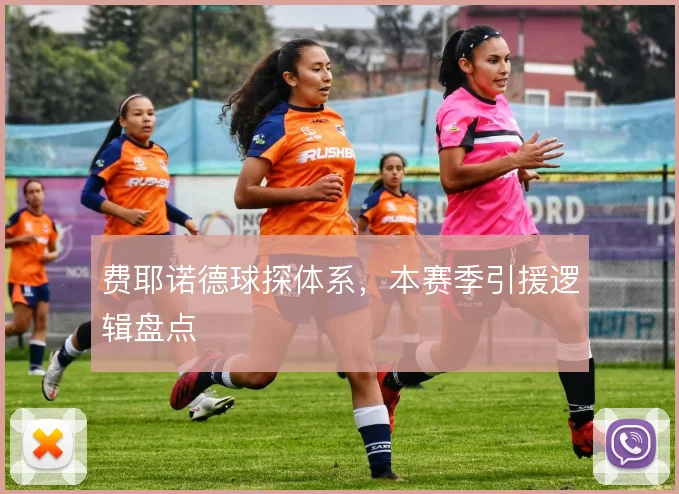 费耶诺德球探体系,本赛季引援逻辑盘点